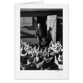 Chicken Farm Mori Nakashima 1943 Hälsningskort