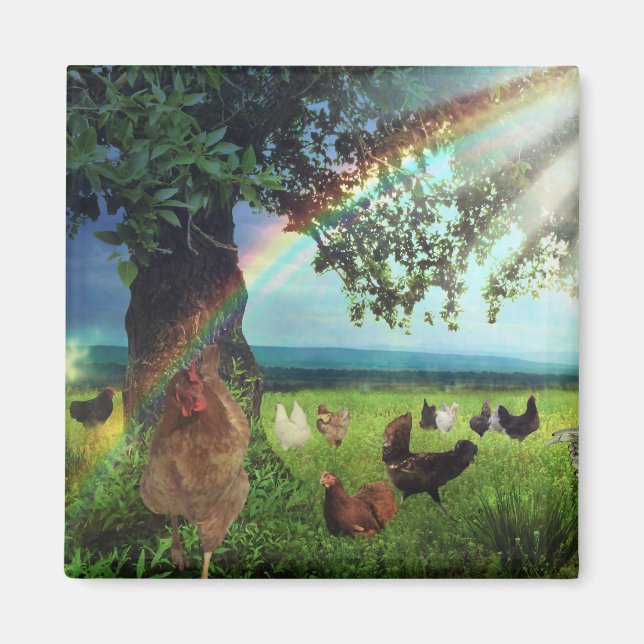 Chicken Heaven Magnet (Framsidan)