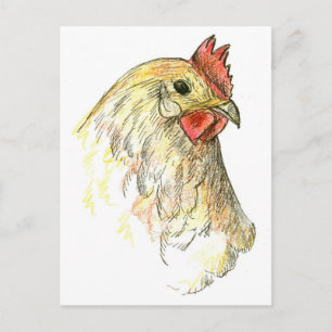 Chicken Hen Bird Farm Animal Teckning Vykort