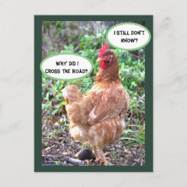 Chicken Humor Vykort