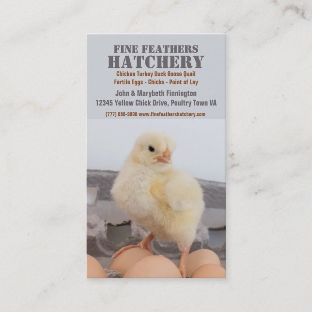 Chicken i ägg paketerar den fega hatcheryen visitkort (Framsida)