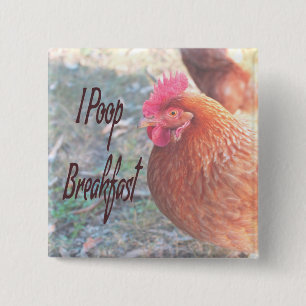 Chicken I poop Breakfast Funny Humor Knapp