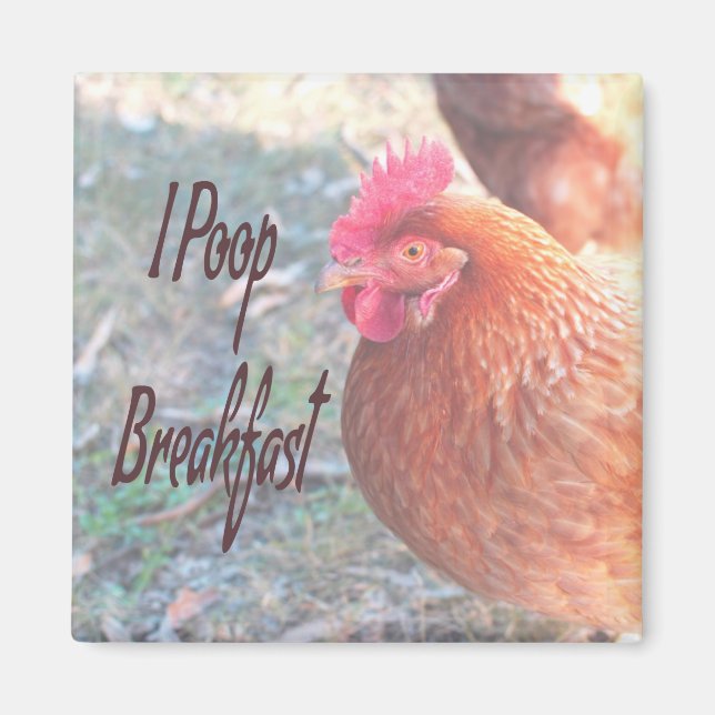 Chicken I poop Breakfast Funny Humor Magnet (Framsidan)