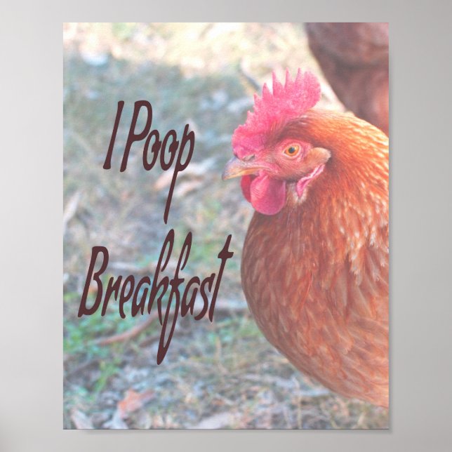 Chicken I poop Breakfast Funny Humor Poster (Framsidan)