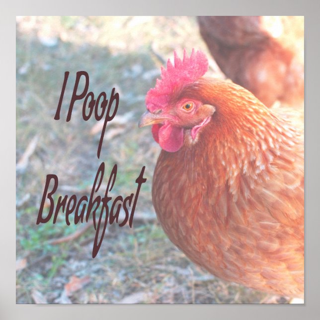 Chicken I poop Breakfast Funny Humor Poster (Framsidan)