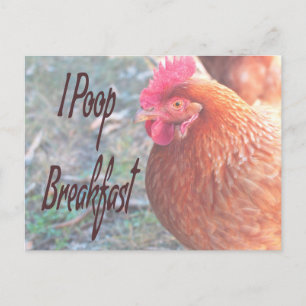 Chicken I poop Breakfast Funny Humor Vykort