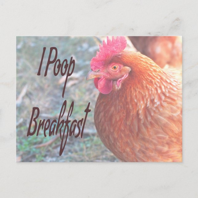 Chicken I poop Breakfast Funny Humor Vykort (Framsida)