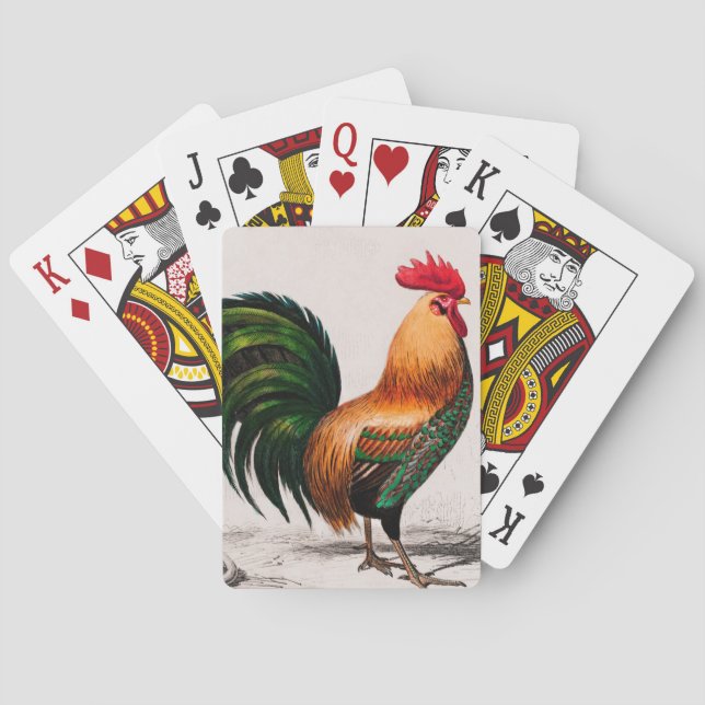 Chicken illustrerad casinokort (Baksidan)