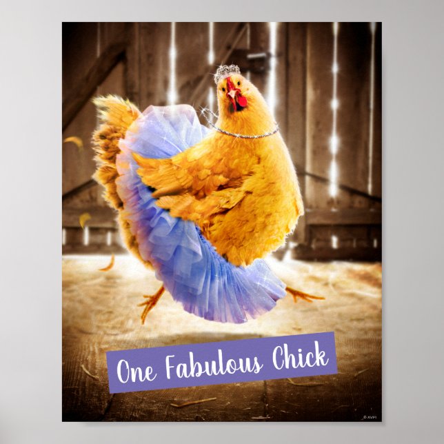 Chicken in a Tutu Poster (Framsidan)