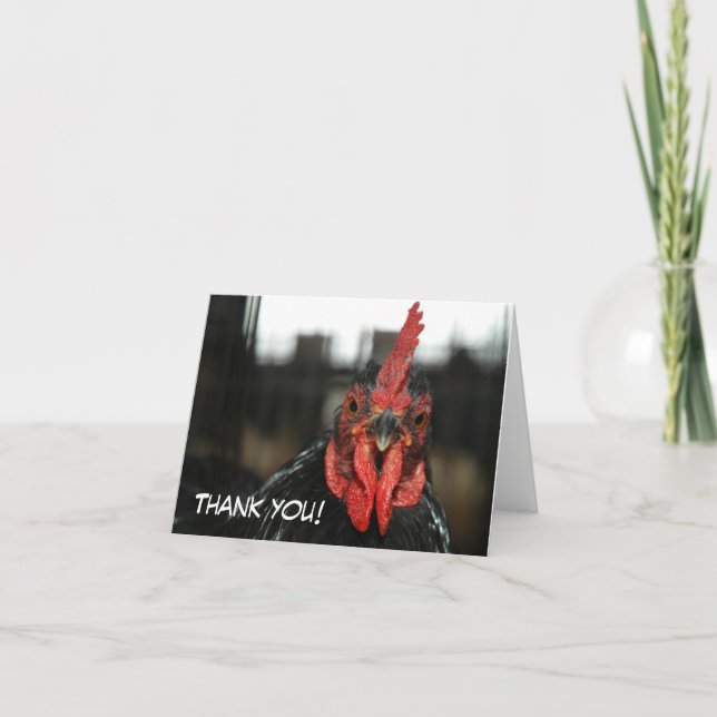 CHICKEN-KORT: Tack Kort (Framsida)