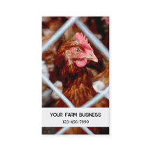 Chicken Land Farm Hen