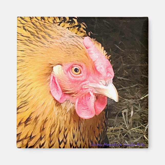 Chicken Magnet #1 Golden Laced Wyandotte (Framsidan)