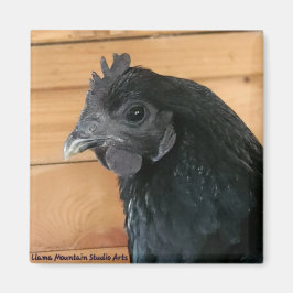 Chicken Magnet #3 Södra Rambler