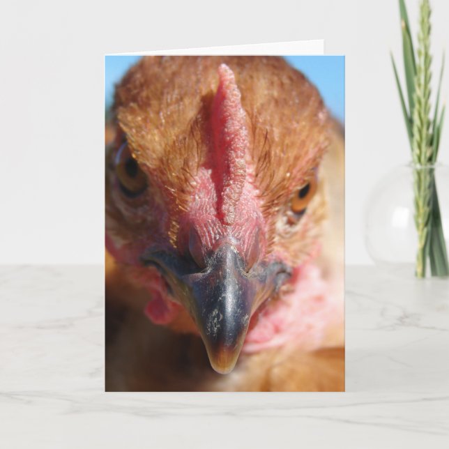 Chicken Makro Photography Porträtt Kort (Framsida)