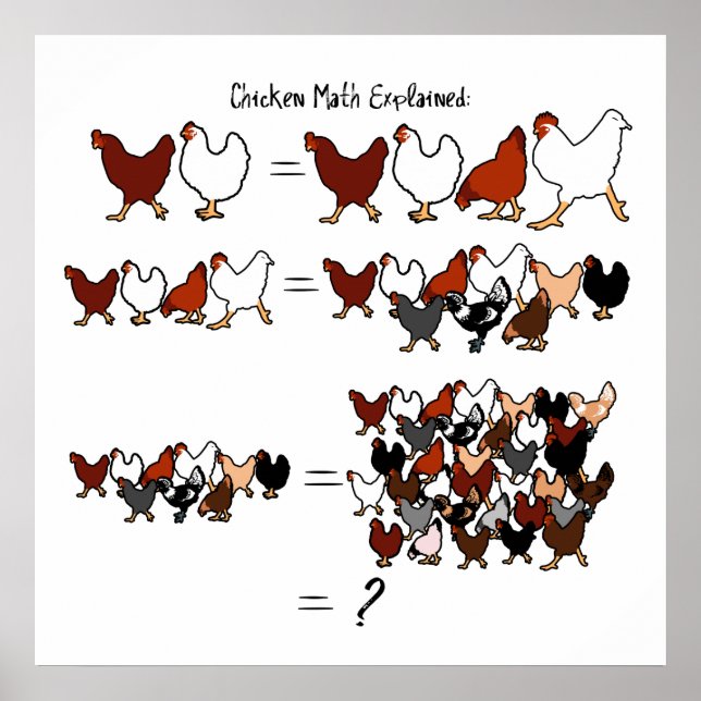 Chicken Math Poster (Framsidan)