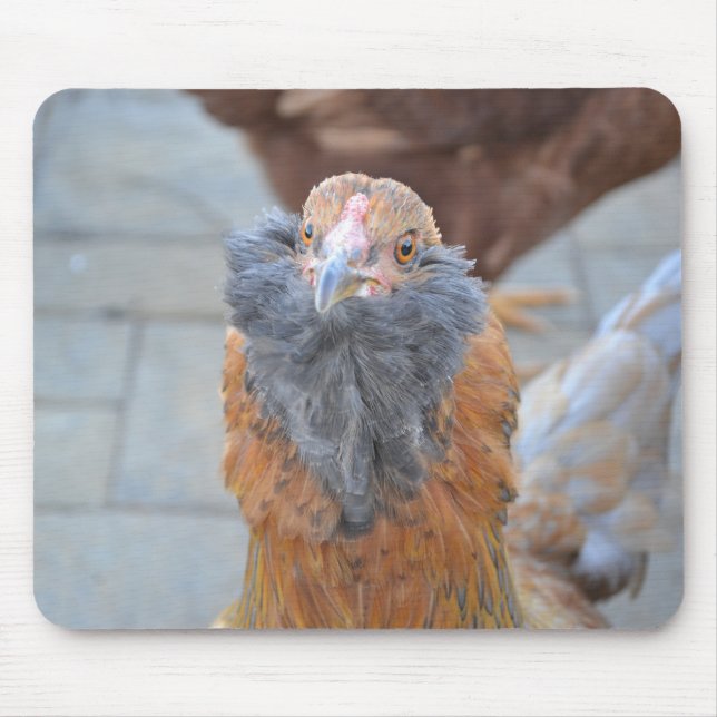 Chicken Mousepad Musmatta (Framsidan)