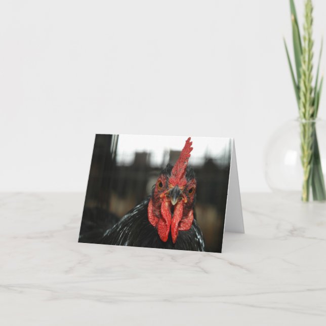 CHICKEN NOTECARD KORT (Framsida)