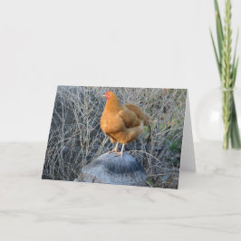 Chicken Notecard Kort