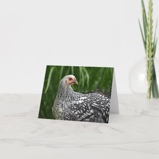 Chicken Notecard Kort (Framsida)