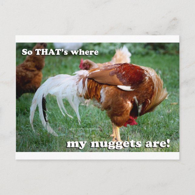 Chicken Nuggets - Tupp Vykort (Framsida)