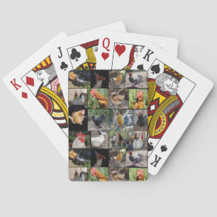Chicken,och fotopassage i Tupp. Casinokort