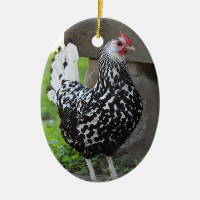 Chicken Ornament (Framsidan)