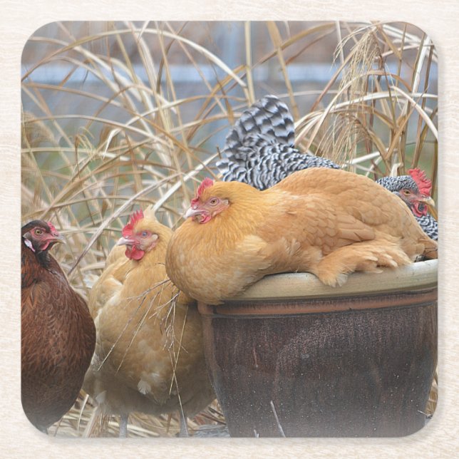 Chicken Party Underlägg (Framsidan)