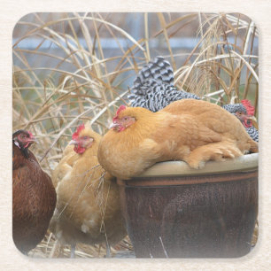 Chicken Party Underlägg Papper Kvadrat