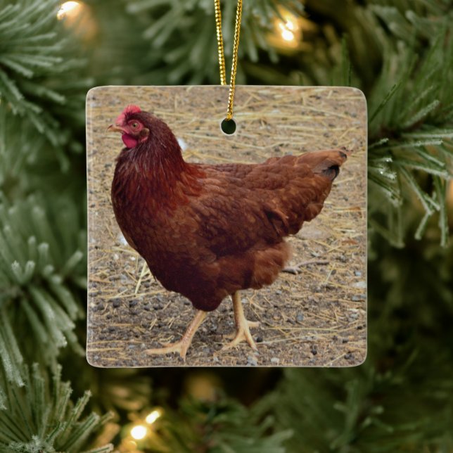 Chicken Photo Ornament (Träd)