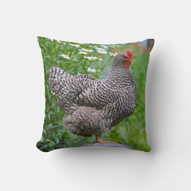 Chicken Pillow Kudde (Framsida)