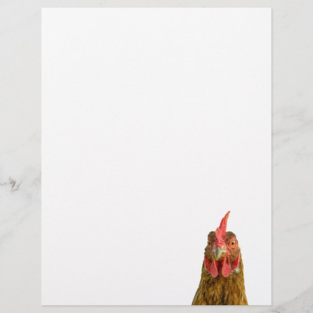 Chicken Porträtt Letterhead (Framsida)