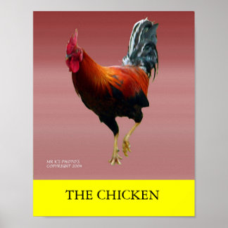 CHICKEN POSTER