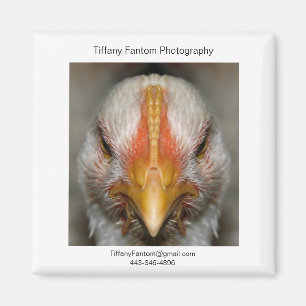 Chicken Promo Biet Magnet