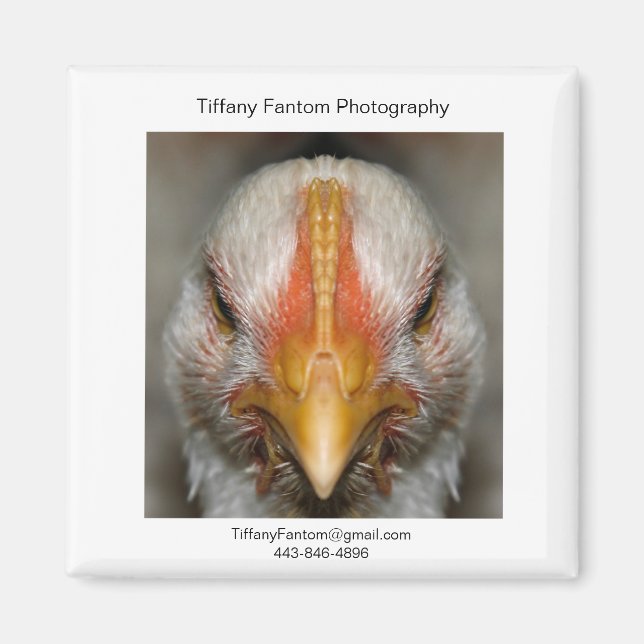 Chicken Promo Biet Magnet (Framsidan)