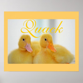 Chicken Quack för fågeldjur i anka Poster
