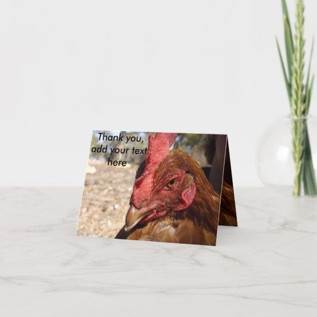 Chicken Scowl, lägg till ditt meddelande, Tack Kort (Framsida)