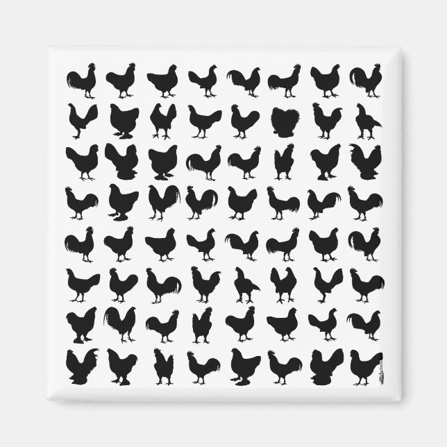 Chicken Silhouettes Magnet (Framsidan)