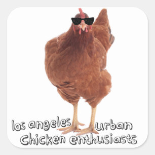 Chicken Stickers! Fyrkantigt Klistermärke