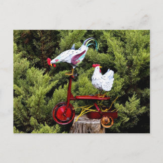 Chicken Trike Vykort