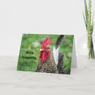 Chicken Tupp Photo Sympathy Kort
