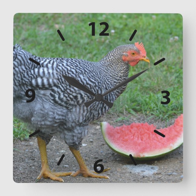 Chicken Watermelon Wall Clock Fyrkantig Klocka (Framsida)