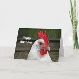 Chicken White Head Tupp Photo Birthday Kort