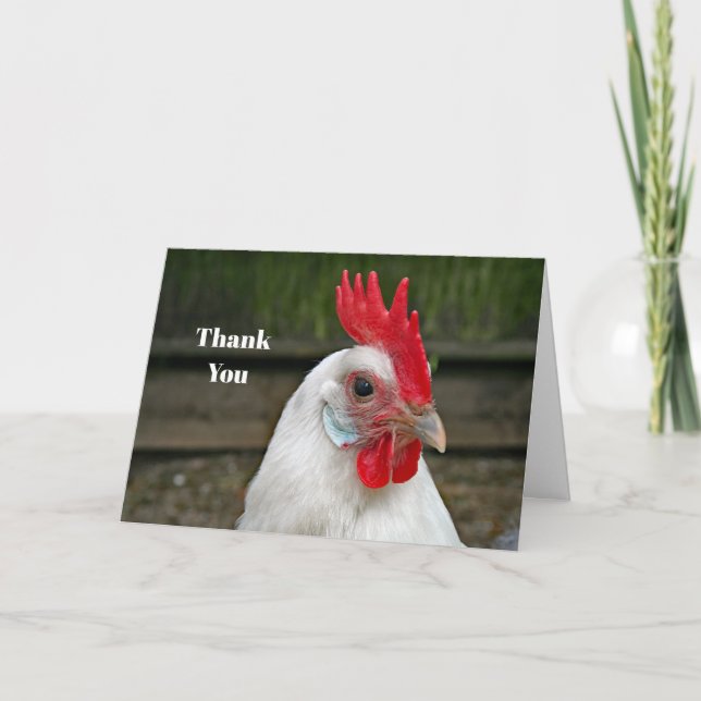 Chicken White Head Tupp Photo Tack Kort (Framsida)