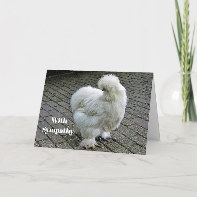 Chicken White Silkie Photo Sympathy Kort (Framsida)
