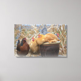 Chicken Wrapped Canvas