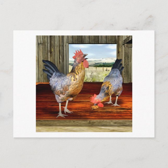 Chickens i Barn Vykort (Framsida)