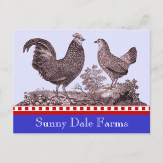 "Chickens Investigation for Picnic, Farmer's Marke Inbjudan Vykort