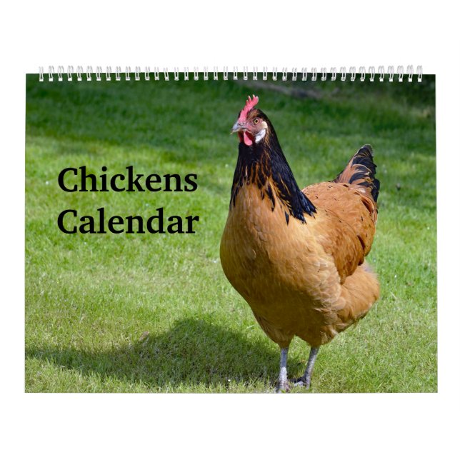 Chickens Kalender (Omslag)