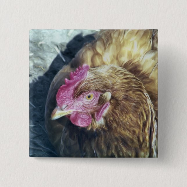 CHICKENS KNAPP (Framsida)