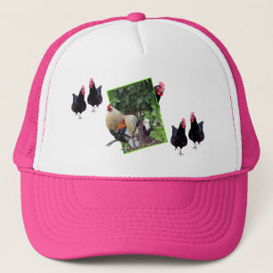 Chickens och Tupp Peekaboo. Keps